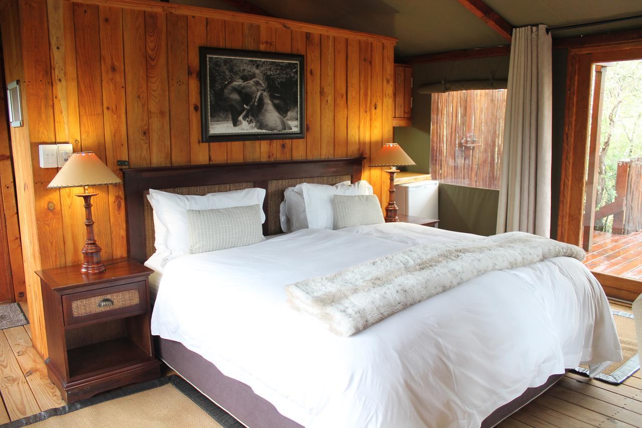 Addo Elephant Lodge & Safaris Kirkwood Eksteriør bilde