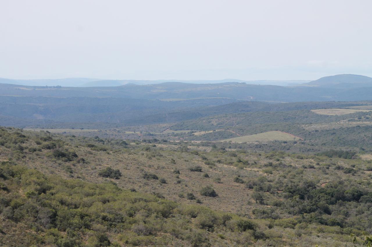 Addo Elephant Lodge & Safaris Kirkwood Eksteriør bilde