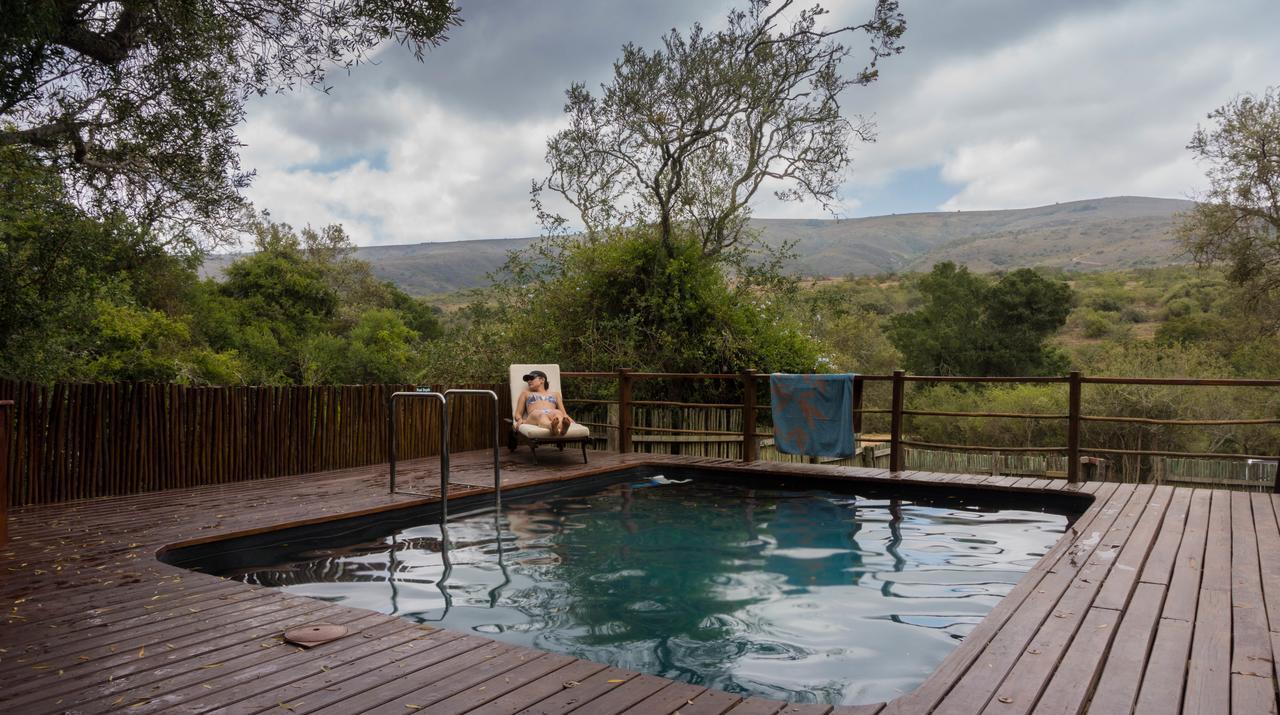 Addo Elephant Lodge & Safaris Kirkwood Eksteriør bilde