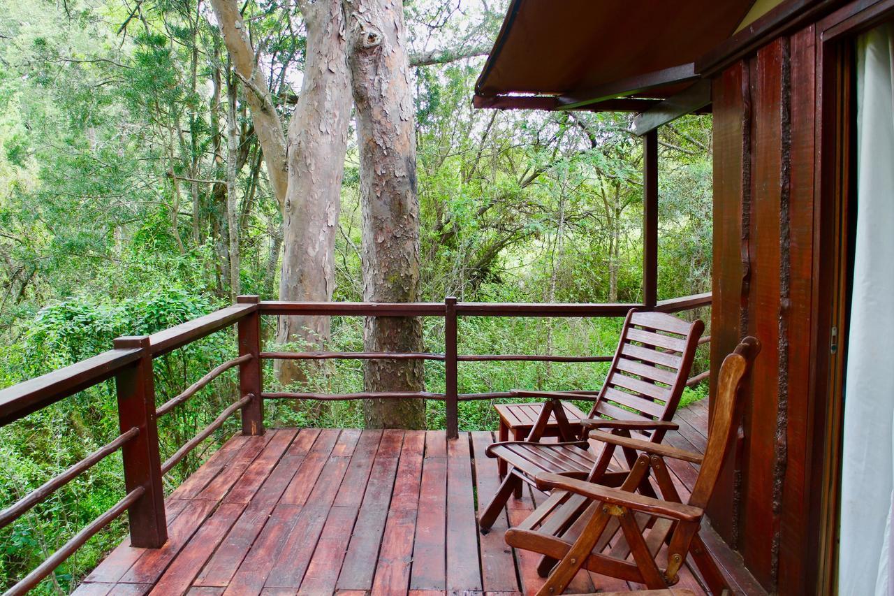 Addo Elephant Lodge & Safaris Kirkwood Eksteriør bilde